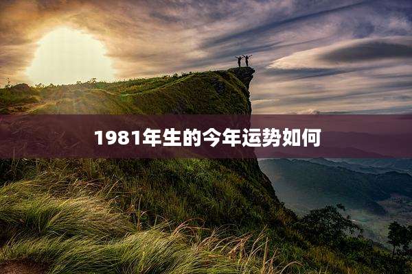1981年生的今年运势如何