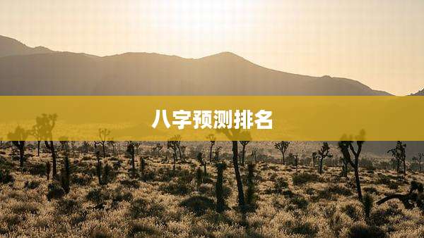 八字预测排名