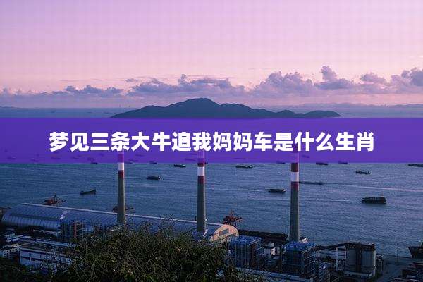 梦见三条大牛追我妈妈车是什么生肖