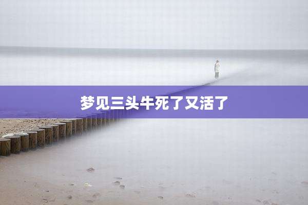 梦见三头牛死了又活了