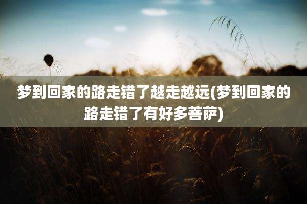 梦到回家的路走错了越走越远(梦到回家的路走错了有好多菩萨)