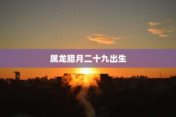 属龙腊月二十九出生