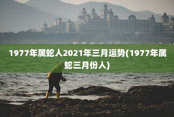 1977年属蛇人2021年三月运势(1977年属蛇三月份人)