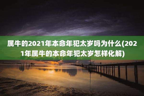 属牛的2021年本命年犯太岁吗为什么(2021年属牛的本命年犯太岁怎样化解)
