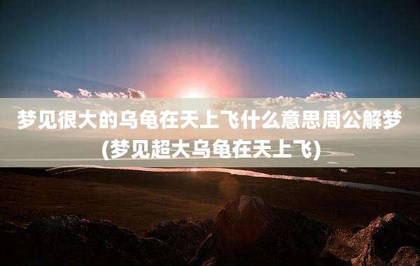 梦见很大的乌龟在天上飞什么意思周公解梦(梦见超大乌龟在天上飞)