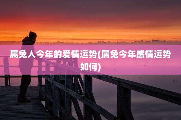 属兔人今年的爱情运势(属兔今年感情运势如何)