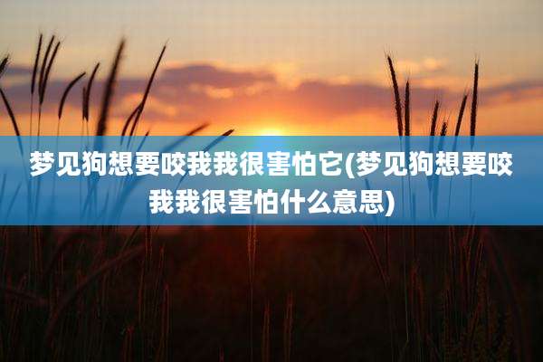 梦见狗想要咬我我很害怕它(梦见狗想要咬我我很害怕什么意思)