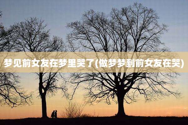 梦见前女友在梦里哭了(做梦梦到前女友在哭)