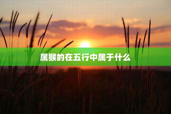 属猴的在五行中属于什么