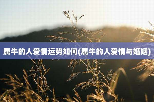 属牛的人爱情运势如何(属牛的人爱情与婚姻)
