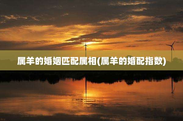 属羊的婚姻匹配属相(属羊的婚配指数)