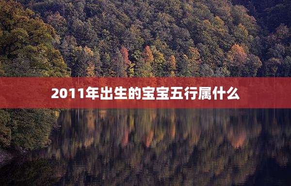 2011年出生的宝宝五行属什么