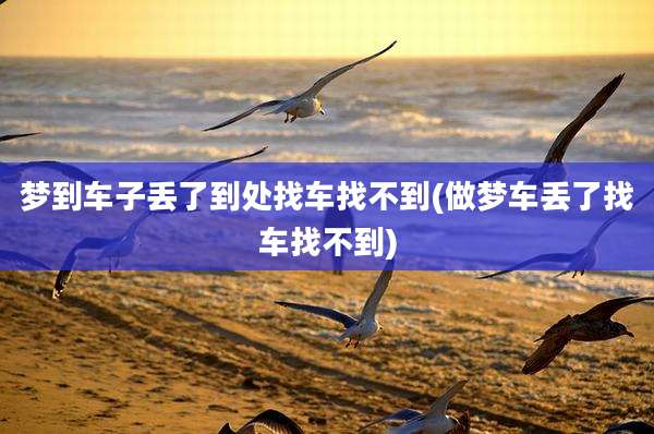 梦到车子丢了到处找车找不到(做梦车丢了找车找不到)