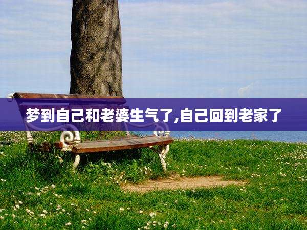梦到自己和老婆生气了,自己回到老家了