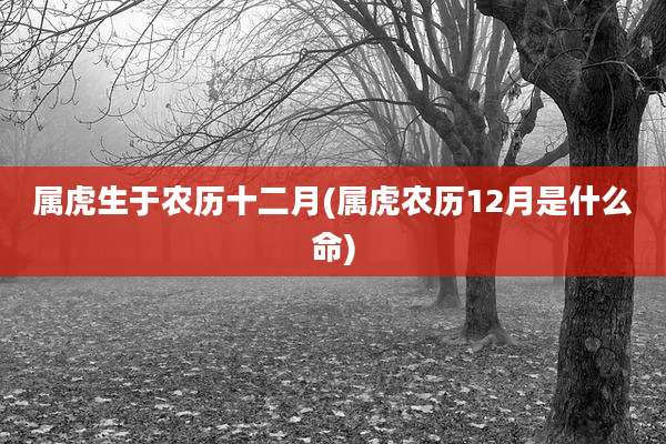 属虎生于农历十二月(属虎农历12月是什么命)