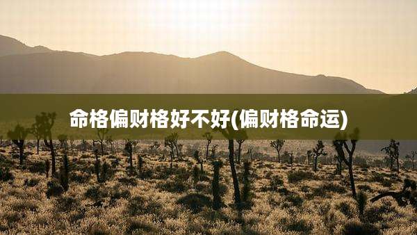 命格偏财格好不好(偏财格命运)