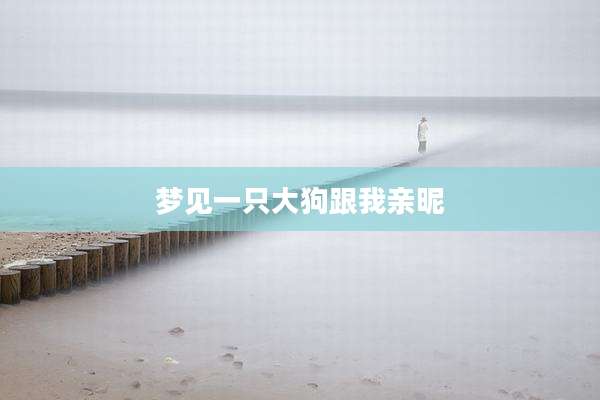 梦见一只大狗跟我亲昵