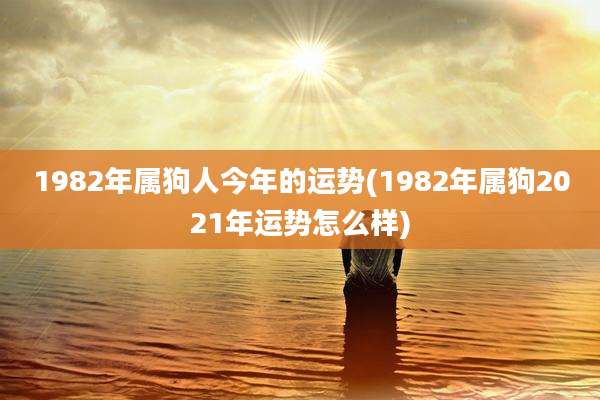 1982年属狗人今年的运势(1982年属狗2021年运势怎么样)