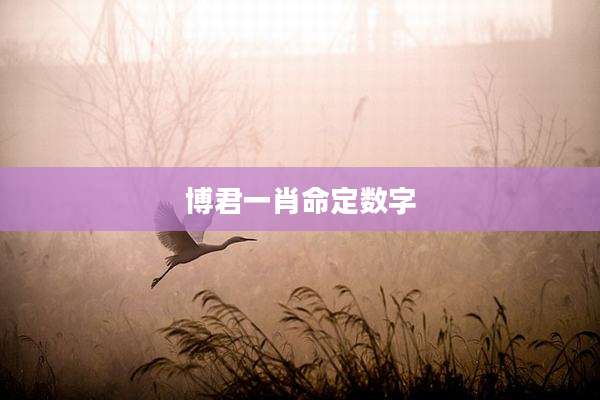 博君一肖命定数字