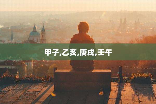 甲子,乙亥,庚戌,壬午