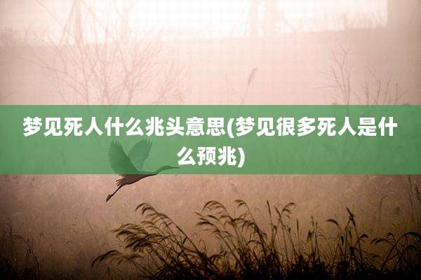 梦见死人什么兆头意思(梦见很多死人是什么预兆)