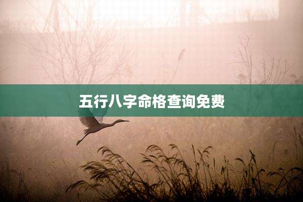 五行八字命格查询免费