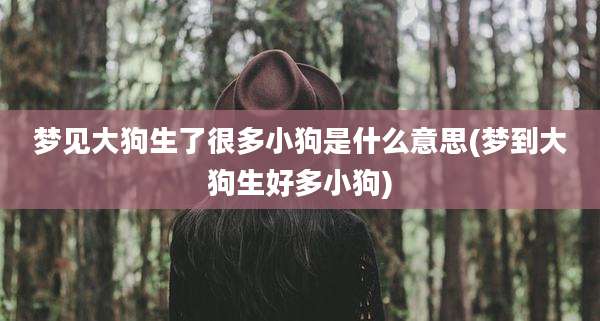 梦见大狗生了很多小狗是什么意思(梦到大狗生好多小狗)