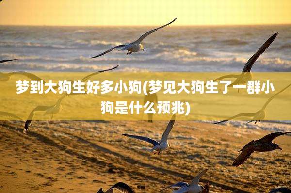 梦到大狗生好多小狗(梦见大狗生了一群小狗是什么预兆)