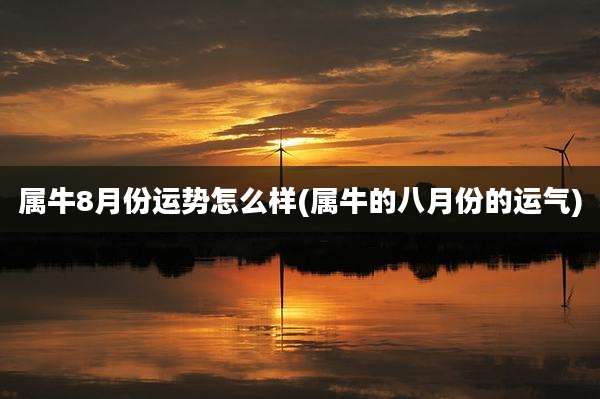 属牛8月份运势怎么样(属牛的八月份的运气)