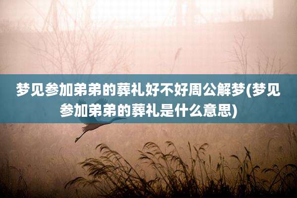 梦见参加弟弟的葬礼好不好周公解梦(梦见参加弟弟的葬礼是什么意思)