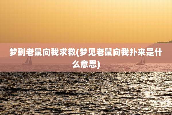 梦到老鼠向我求救(梦见老鼠向我扑来是什么意思)