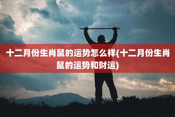 十二月份生肖鼠的运势怎么样(十二月份生肖鼠的运势和财运)