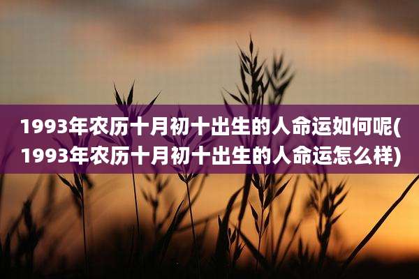 1993年农历十月初十出生的人命运如何呢(1993年农历十月初十出生的人命运怎么样)