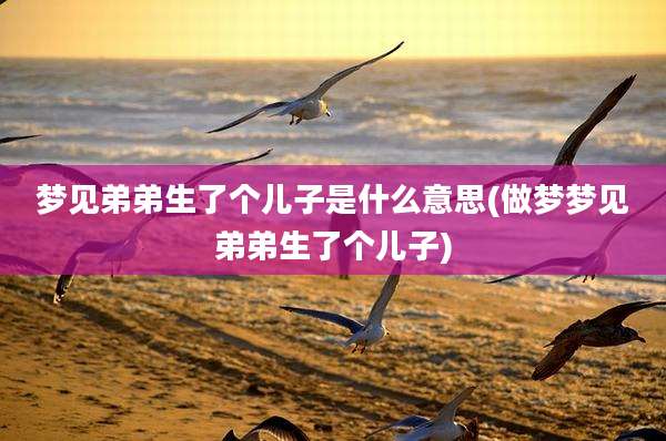 梦见弟弟生了个儿子是什么意思(做梦梦见弟弟生了个儿子)