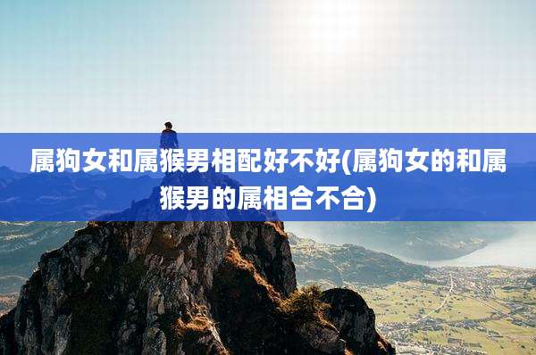 属狗女和属猴男相配好不好(属狗女的和属猴男的属相合不合)
