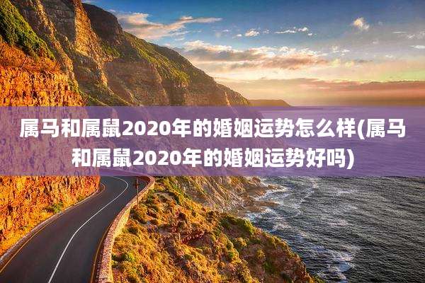 属马和属鼠2020年的婚姻运势怎么样(属马和属鼠2020年的婚姻运势好吗)
