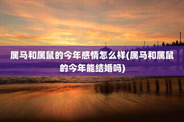 属马和属鼠的今年感情怎么样(属马和属鼠的今年能结婚吗)