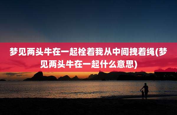 梦见两头牛在一起栓着我从中间拽着绳(梦见两头牛在一起什么意思)