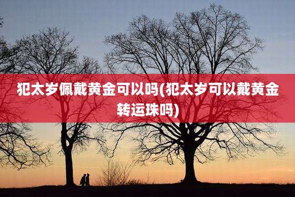 犯太岁佩戴黄金可以吗(犯太岁可以戴黄金转运珠吗)