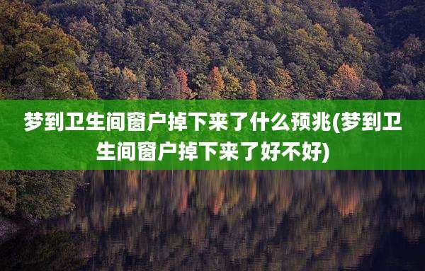 梦到卫生间窗户掉下来了什么预兆(梦到卫生间窗户掉下来了好不好)