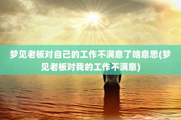 梦见老板对自己的工作不满意了啥意思(梦见老板对我的工作不满意)