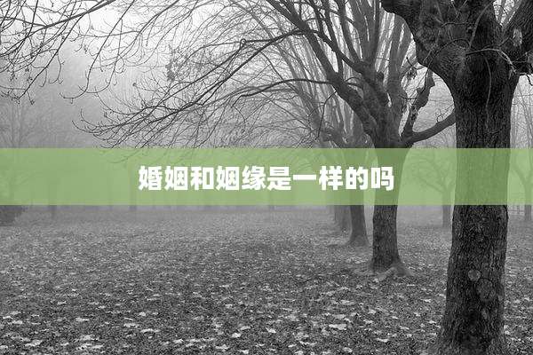 婚姻和姻缘是一样的吗