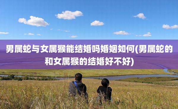男属蛇与女属猴能结婚吗婚姻如何(男属蛇的和女属猴的结婚好不好)