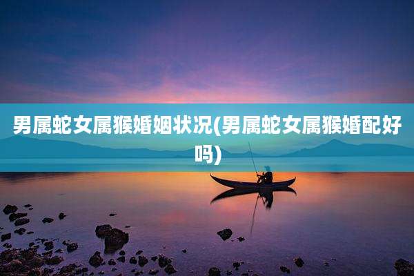 男属蛇女属猴婚姻状况(男属蛇女属猴婚配好吗)