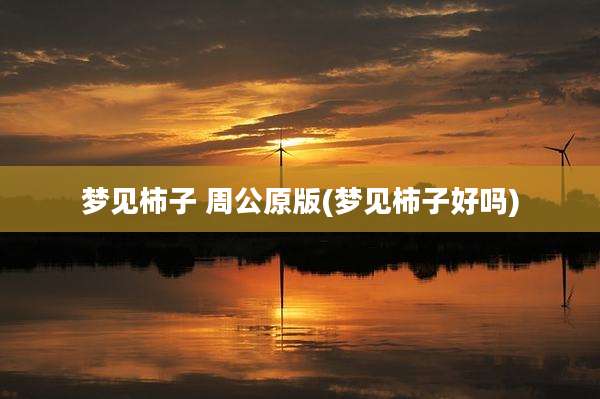 梦见柿子 周公原版(梦见柿子好吗)