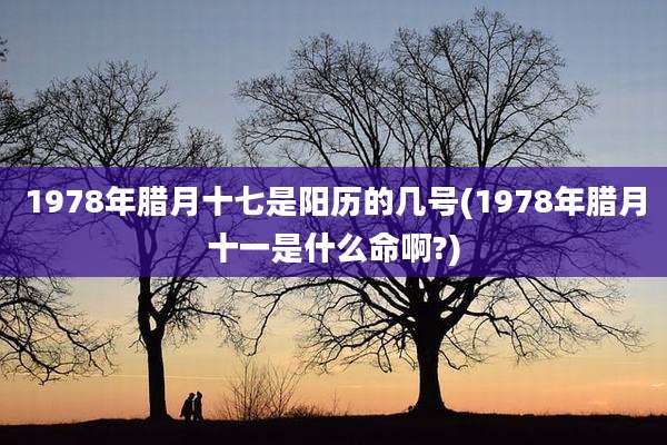 1978年腊月十七是阳历的几号(1978年腊月十一是什么命啊?)