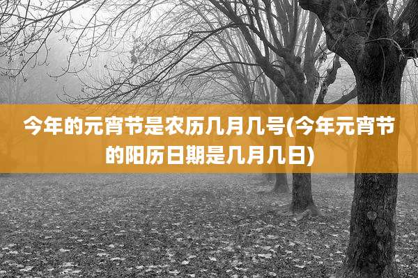 今年的元宵节是农历几月几号(今年元宵节的阳历日期是几月几日)