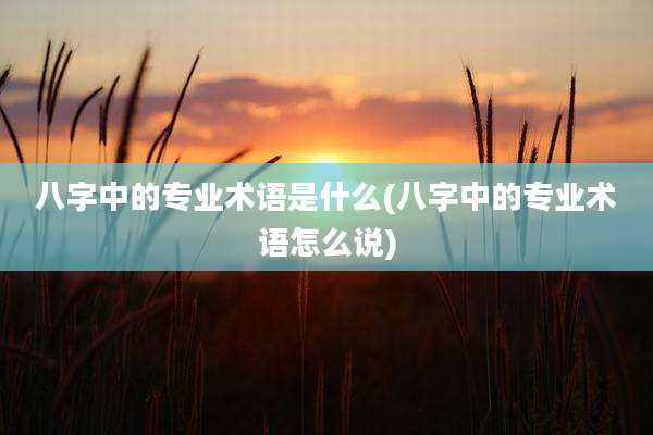 八字中的专业术语是什么(八字中的专业术语怎么说)
