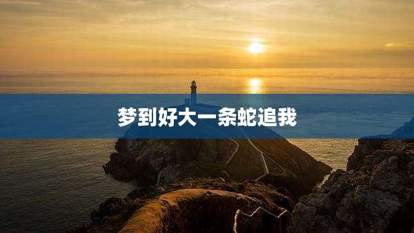 梦到好大一条蛇追我