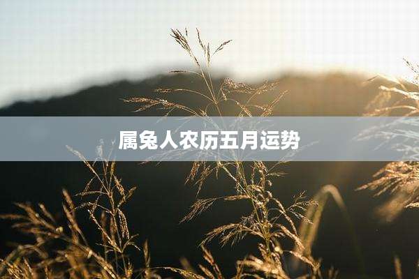 属兔人农历五月运势